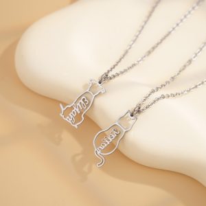 Engraved stainless steel pet name necklace with a small birthstone accent