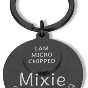Laser-engraved stainless steel pet ID tag with a birthstone accent clipped to a dog collar
