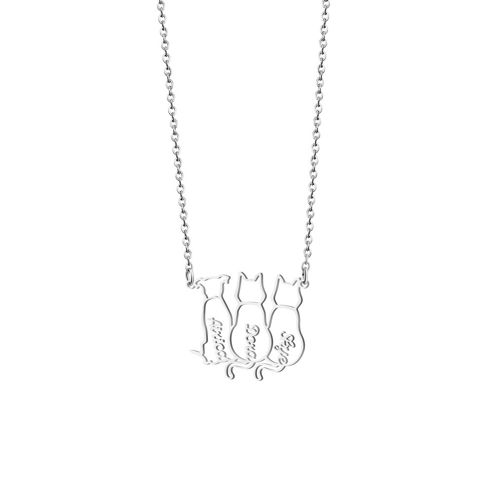 Engraved stainless steel pet name necklace with a small birthstone accent